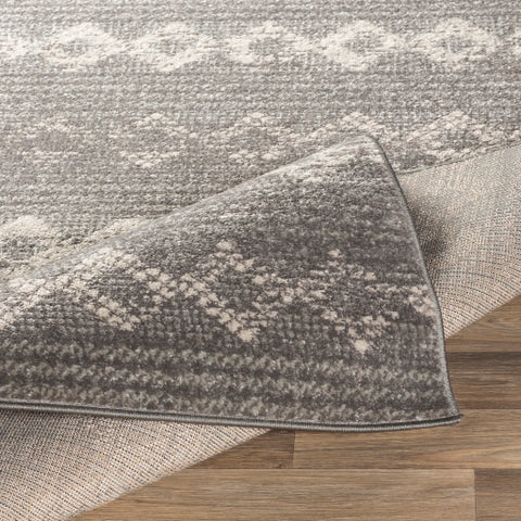 Image of Surya Chester Global Medium Gray, Light Gray, Khaki Rugs CHE-2307