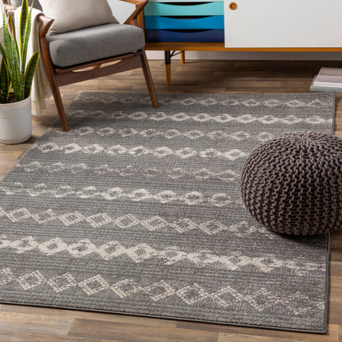 Image of Surya Chester Global Medium Gray, Light Gray, Khaki Rugs CHE-2307