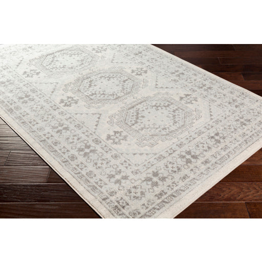 Surya Chester Global Light Gray, Medium Gray, Khaki Rugs CHE-2309