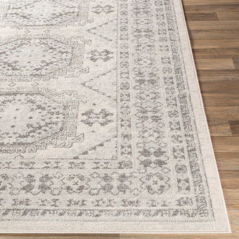 Image of Surya Chester Global Light Gray, Medium Gray, Khaki Rugs CHE-2309