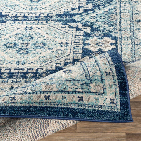 Image of Surya Chester Global Dark Blue, Aqua, Khaki, Light Gray, Medium Gray Rugs CHE-2311