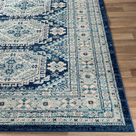 Image of Surya Chester Global Dark Blue, Aqua, Khaki, Light Gray, Medium Gray Rugs CHE-2311