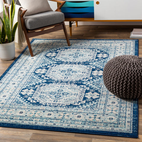 Image of Surya Chester Global Dark Blue, Aqua, Khaki, Light Gray, Medium Gray Rugs CHE-2311