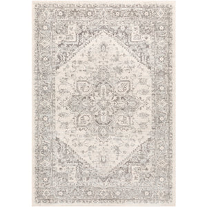 Surya Chester Traditional Light Gray, Medium Gray, Khaki Rugs CHE-2312