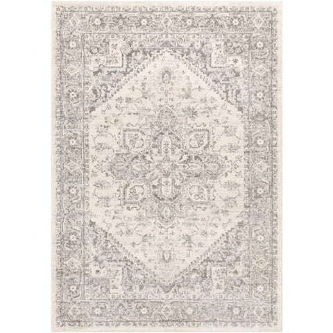 Image of Surya Chester Traditional Light Gray, Medium Gray, Khaki Rugs CHE-2312