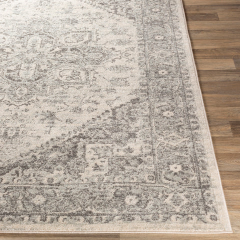 Image of Surya Chester Traditional Light Gray, Medium Gray, Khaki Rugs CHE-2312