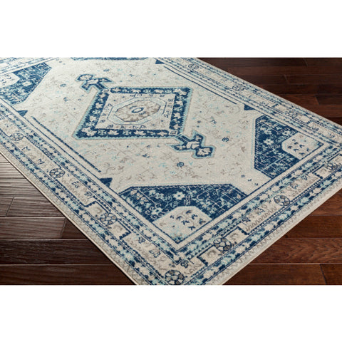Image of Surya Chester Traditional Dark Blue, Aqua, Light Gray, Khaki, Medium Gray Rugs CHE-2314