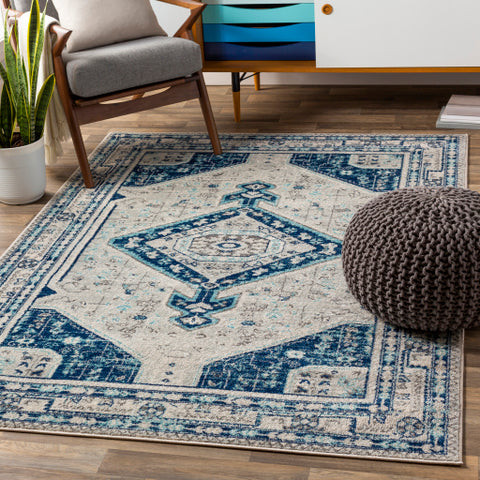 Image of Surya Chester Traditional Dark Blue, Aqua, Light Gray, Khaki, Medium Gray Rugs CHE-2314