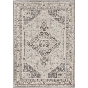 Surya Chester Traditional Light Gray, Medium Gray, Khaki Rugs CHE-2315