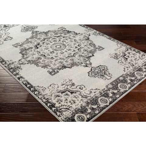 Image of Surya Chester Traditional Medium Gray, Black, Light Gray, Khaki Rugs CHE-2318