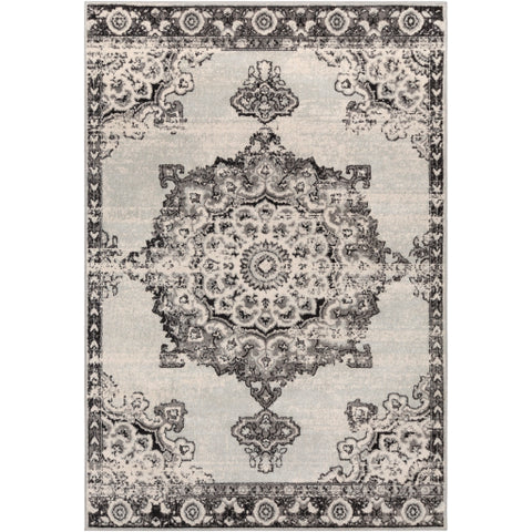 Image of Surya Chester Traditional Medium Gray, Black, Light Gray, Khaki Rugs CHE-2318