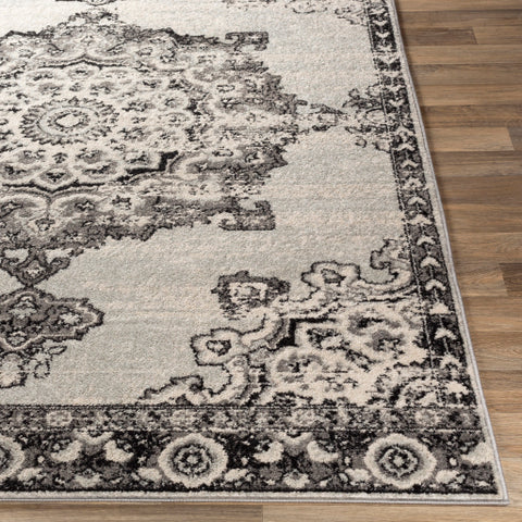 Image of Surya Chester Traditional Medium Gray, Black, Light Gray, Khaki Rugs CHE-2318