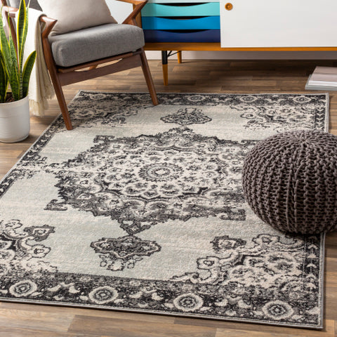 Image of Surya Chester Traditional Medium Gray, Black, Light Gray, Khaki Rugs CHE-2318