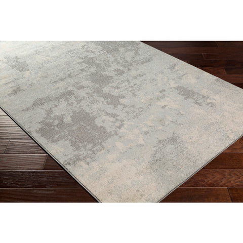 Image of Surya Chester Modern Light Gray, Khaki, Medium Gray Rugs CHE-2320