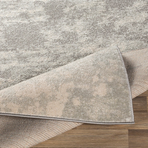 Image of Surya Chester Modern Light Gray, Khaki, Medium Gray Rugs CHE-2320