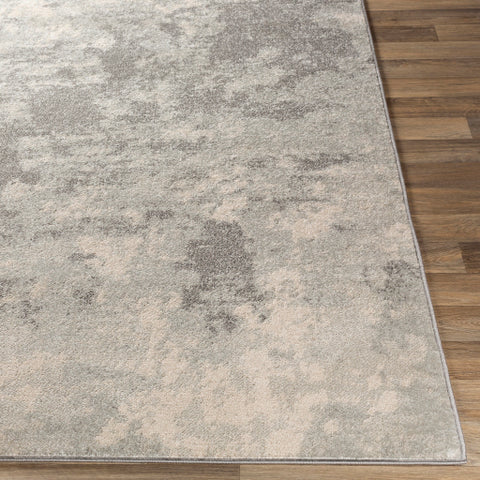 Image of Surya Chester Modern Light Gray, Khaki, Medium Gray Rugs CHE-2320