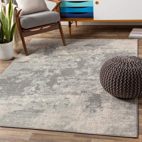 Image of Surya Chester Modern Light Gray, Khaki, Medium Gray Rugs CHE-2320