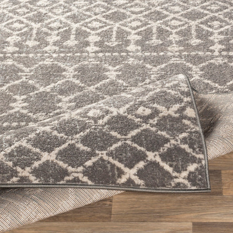 Image of Surya Chester Global Medium Gray, Light Gray, Khaki Rugs CHE-2321