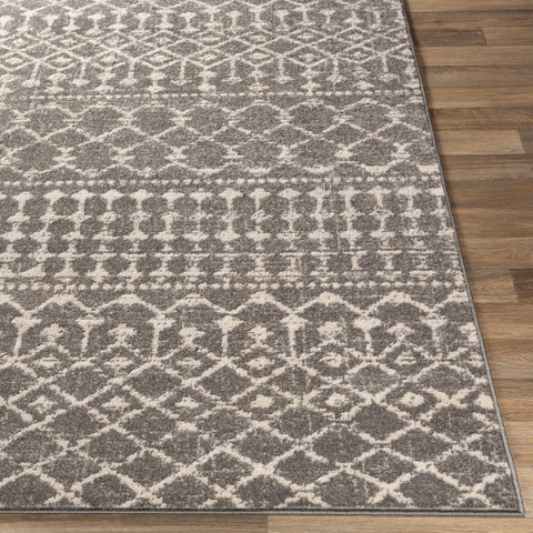 Image of Surya Chester Global Medium Gray, Light Gray, Khaki Rugs CHE-2321