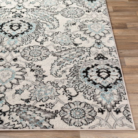 Image of Surya Chester Traditional Medium Gray, Light Gray, Aqua, Black, Khaki Rugs CHE-2323