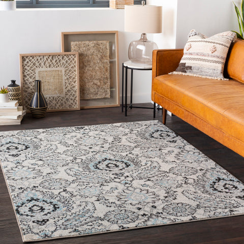 Image of Surya Chester Traditional Medium Gray, Light Gray, Aqua, Black, Khaki Rugs CHE-2323