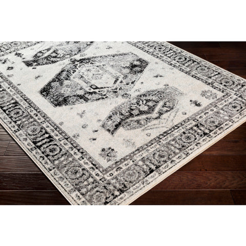 Image of Surya Chester Traditional Medium Gray, Black, Light Gray, Khaki Rugs CHE-2324