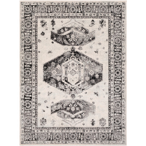 Image of Surya Chester Traditional Medium Gray, Black, Light Gray, Khaki Rugs CHE-2324