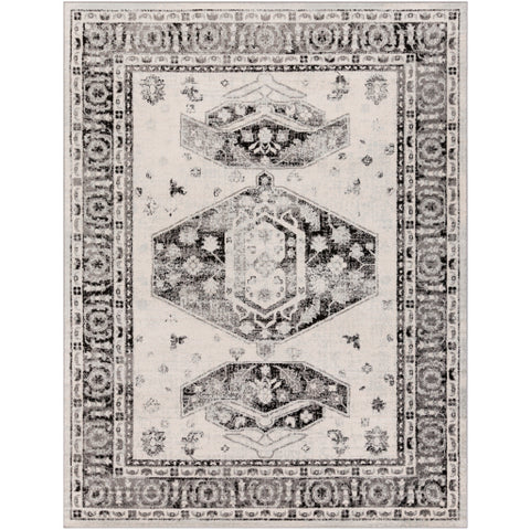 Image of Surya Chester Traditional Medium Gray, Black, Light Gray, Khaki Rugs CHE-2324