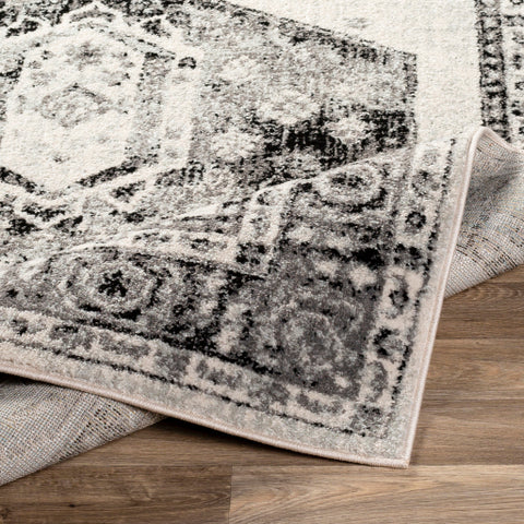 Image of Surya Chester Traditional Medium Gray, Black, Light Gray, Khaki Rugs CHE-2324