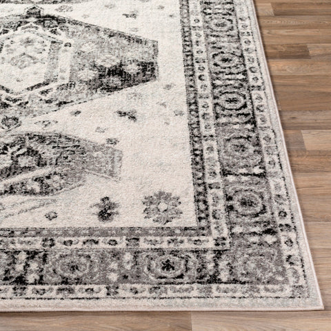 Image of Surya Chester Traditional Medium Gray, Black, Light Gray, Khaki Rugs CHE-2324