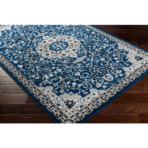 Surya Chester Traditional Dark Blue, Medium Gray, Aqua, White, Black Rugs CHE-2333
