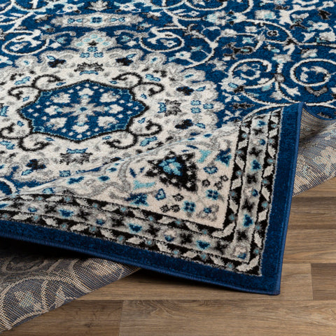 Image of Surya Chester Traditional Dark Blue, Medium Gray, Aqua, White, Black Rugs CHE-2333