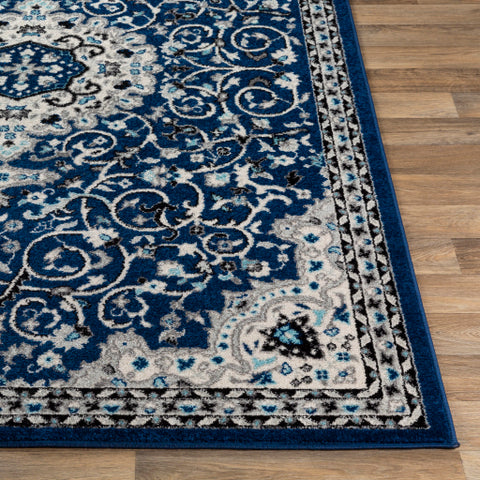 Image of Surya Chester Traditional Dark Blue, Medium Gray, Aqua, White, Black Rugs CHE-2333