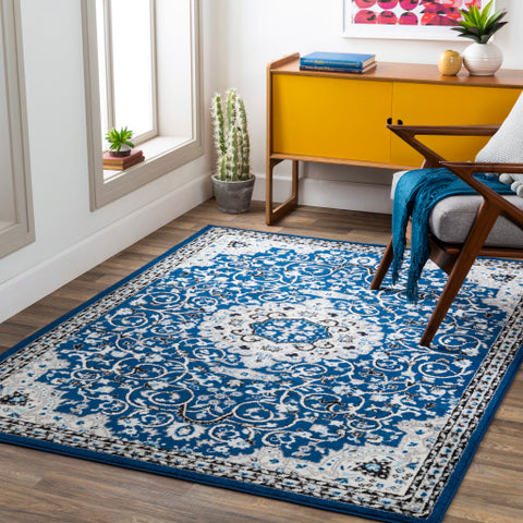 Image of Surya Chester Traditional Dark Blue, Medium Gray, Aqua, White, Black Rugs CHE-2333