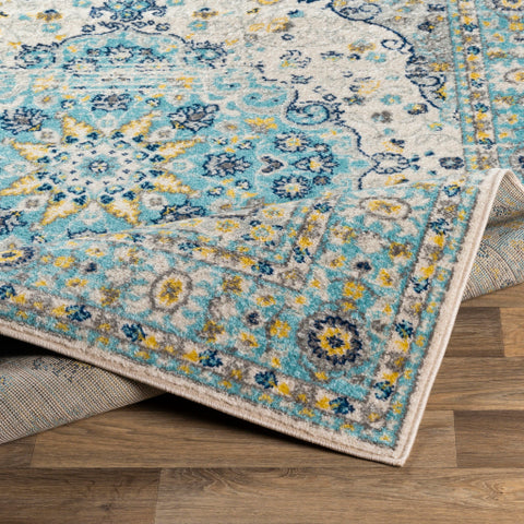 Image of Surya Chester Traditional Aqua, White, Medium Gray, Dark Blue, Bright Yellow Rugs CHE-2334