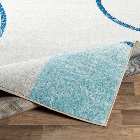 Image of Surya Chester Modern Medium Gray, White, Dark Blue, Aqua Rugs CHE-2338