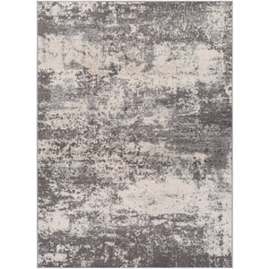 Surya Chester Modern Medium Gray, White Rugs CHE-2348