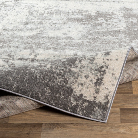 Image of Surya Chester Modern Medium Gray, White Rugs CHE-2348