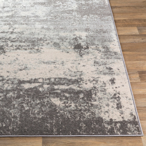 Image of Surya Chester Modern Medium Gray, White Rugs CHE-2348