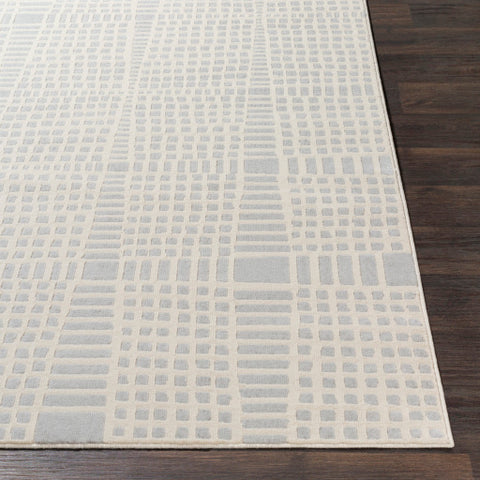 Image of Surya City Modern Light Gray, Beige Rugs CIT-2320