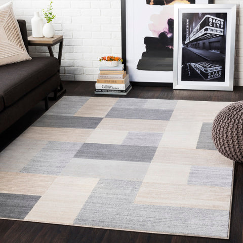 Image of Surya City Modern Light Gray, Taupe, Beige, Khaki Rugs CIT-2344