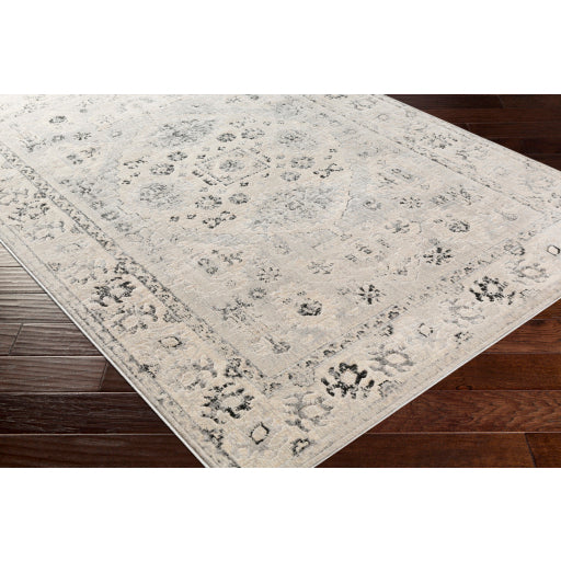 Surya City Traditional Taupe, Black, Beige, Light Gray, Khaki Rugs CIT-2365