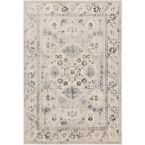 Image of Surya City Traditional Taupe, Black, Beige, Light Gray, Khaki Rugs CIT-2365