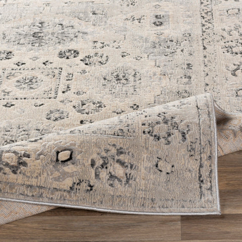 Image of Surya City Traditional Taupe, Black, Beige, Light Gray, Khaki Rugs CIT-2365