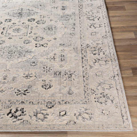 Image of Surya City Traditional Taupe, Black, Beige, Light Gray, Khaki Rugs CIT-2365