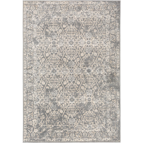 Image of Surya City Traditional Taupe, Light Gray, Beige, Khaki Rugs CIT-2369