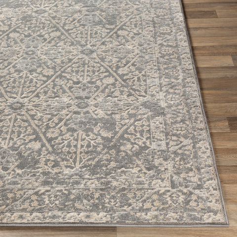 Image of Surya City Traditional Taupe, Light Gray, Beige, Khaki Rugs CIT-2369