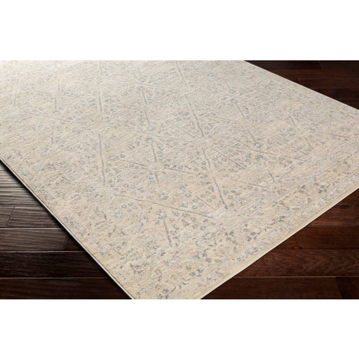 Surya City Traditional Khaki, Beige, Light Gray, Taupe Rugs CIT-2370