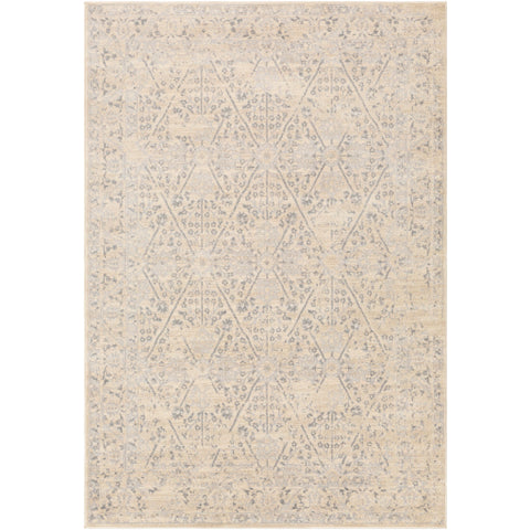 Image of Surya City Traditional Khaki, Beige, Light Gray, Taupe Rugs CIT-2370