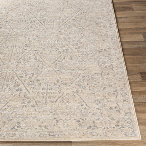 Image of Surya City Traditional Khaki, Beige, Light Gray, Taupe Rugs CIT-2370